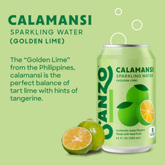 Sanzo Flavored Sparkling Water - Golden Lime Seltzer (Calamansi) - Low Calorie Low Sugar - Craft Asian Drinks - Vegan Gluten Free Carbonated Flavored Water - Fizzy Healthy Drinks - 12oz, 12 Pack