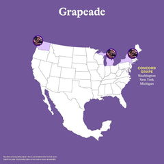Spindrift Grapeade Can 12 Ounce (Pack of 24)