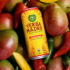 Yerba Madre Organic Yerba Mate, Energy Drink Alternative, Limited Edition Mango Fuego, 150mg Plant Based Caffeine, Smooth Energy & Focus, No Jitters or Crash, 15.5oz Cans (Pack of 12)