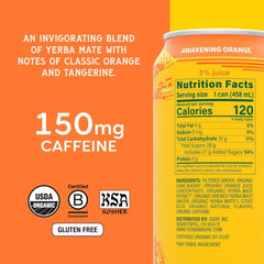 Yerba Madre Organic Yerba Mate, Awakening Orange, 150mg Natural Caffeine, Energy Drink Alternative, No Jitters or Crash, 15.5 Oz Cans (Pack of 12)