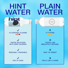 Hint Fruit-Infused Bottled Water, Blackberry - Sugar Free Flavored Water with Zero Calories, Natural Fruit Essences, and No Artificial Sweeteners - 16 Fl Oz (Pack of 12)