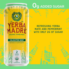 Yerba Madre Organic Yerba Mate, Energy Drink Alternative, Lower-Sugar Enlighten Mint, 150mg Plant Based Caffeine, Smooth Energy & Focus, No Jitters or Crash, 15.5oz Cans (Pack of 12)
