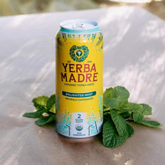 Yerba Madre Organic Yerba Mate, Energy Drink Alternative, Lower-Sugar Enlighten Mint, 150mg Plant Based Caffeine, Smooth Energy & Focus, No Jitters or Crash, 15.5oz Cans (Pack of 12)