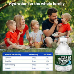 Poland Spring Water 24 Pack Water, Mini Water Bottles, Bottled Water 8 oz Bottles