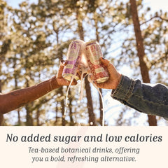 Corpse Reviver: Electrolyte Hydration Drink | Organic, Non-Alcoholic, Magnesium, Potassium, L-Theanine, Zinc, Sodium, Revival Variety Pack (Canned Flavored Sparkling Water), 16 Fl Oz, Pack of 12