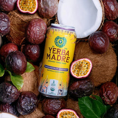 Yerba Madre Organic Yerba Mate, Energy Drink Alternative, Passionfruit Coconut, 150mg Plant Based Caffeine, Smooth Energy & Focus, No Jitters or Crash, 15.5oz Cans (Pack of 12)
