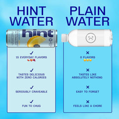 Hint Fruit-Infused Canned Water, Blueberry Lemon - Purified Flavored Water with Zero Calories, Natural Flavors, and Sugar Free - 12 Fl Oz Cans (Pack of 12)