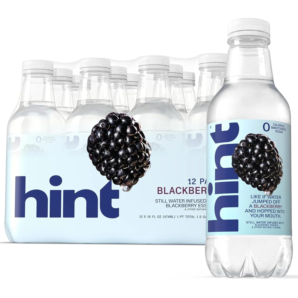 Hint Fruit-Infused Bottled Water, Blackberry - Sugar Free Flavored Water with Zero Calories, Natural Fruit Essences, and No Artificial Sweeteners - 16 Fl Oz (Pack of 12)