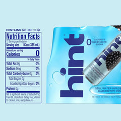Hint Fruit-Infused Canned Water, Blackberry - Purified Flavored Water with Zero Calories, Natural Flavors, and Sugar Free - 12 Fl Oz Cans (Pack of 12)
