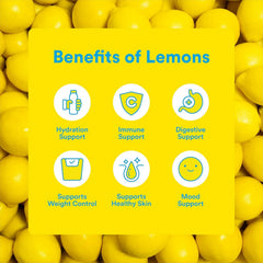 Lemon Perfect Original,Flavored Lemon Water,Organic,Zero Sugar,Healthy Hydration Drinks,15.2 fl oz Bottles,(Pack of 24)