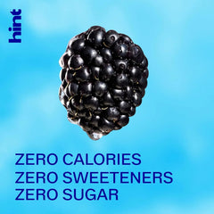 Hint Fruit-Infused Canned Water, Blackberry - Purified Flavored Water with Zero Calories, Natural Flavors, and Sugar Free - 12 Fl Oz Cans (Pack of 12)