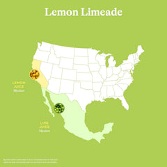 Spindrift Lemon Limeade Can 12 Ounce (Pack of 24)