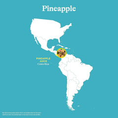 Spindrift Pineapple Sparkling Water Can 12 Ounce (Pack of 24)