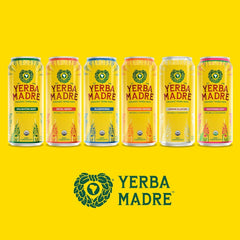 Yerba Madre Organic Yerba Mate, Lemon Elation, 150mg Natural Caffeine, Energy Drink Alternative, No Jitters or Crash, 15.5 Oz Cans (Pack of 12)