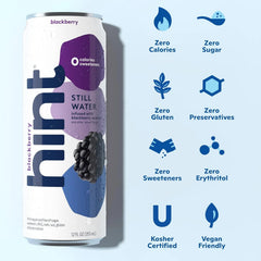 Hint Fruit-Infused Canned Water, Blackberry - Purified Flavored Water with Zero Calories, Natural Flavors, and Sugar Free - 12 Fl Oz Cans (Pack of 24)