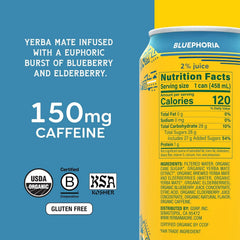 Yerba Madre Organic Yerba Mate, Best Sellers Variety Pack, Energy Drink Alternative, 150mg Plant Based Caffeine, Smooth Energy & Focus, No Jitters or Crash, 15.5oz Cans (Pack of 12)